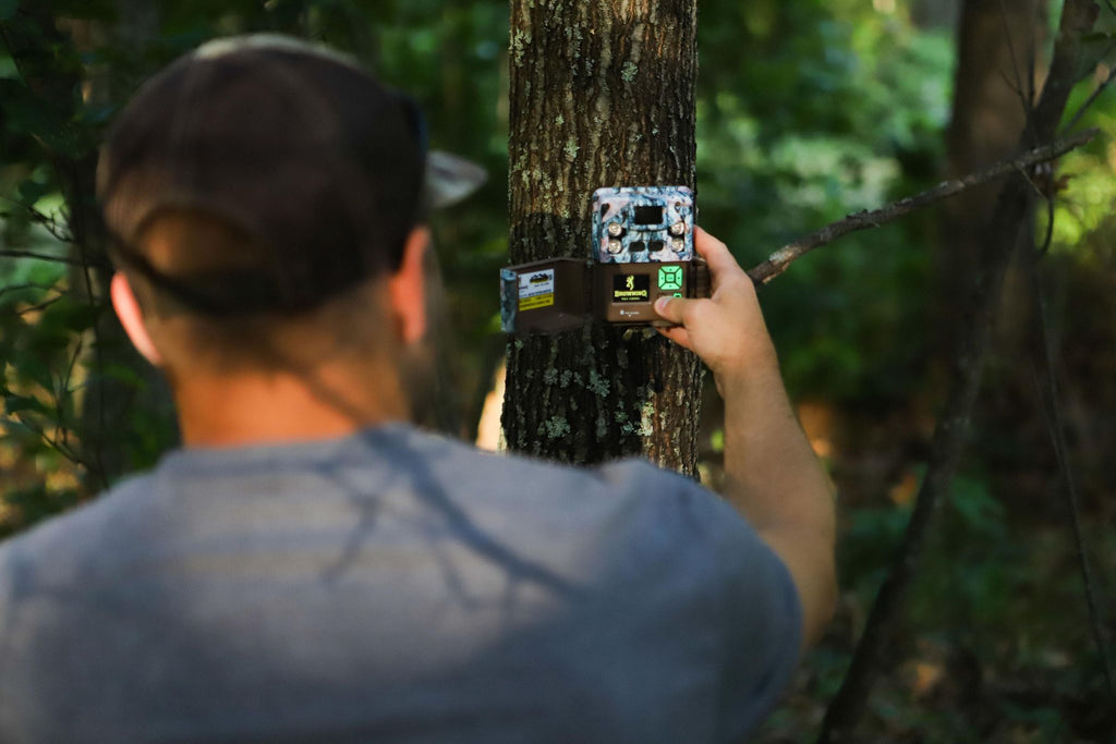 Summer Trail Camera Tips