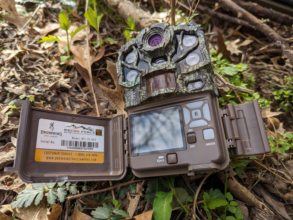 Summertime Trail Camera Deployment