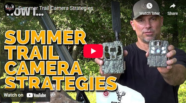Summer Trail Camera Strategies