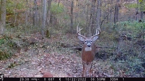 Browning Trail Cameras Help Ohio Hunter Bag Giant Buck
