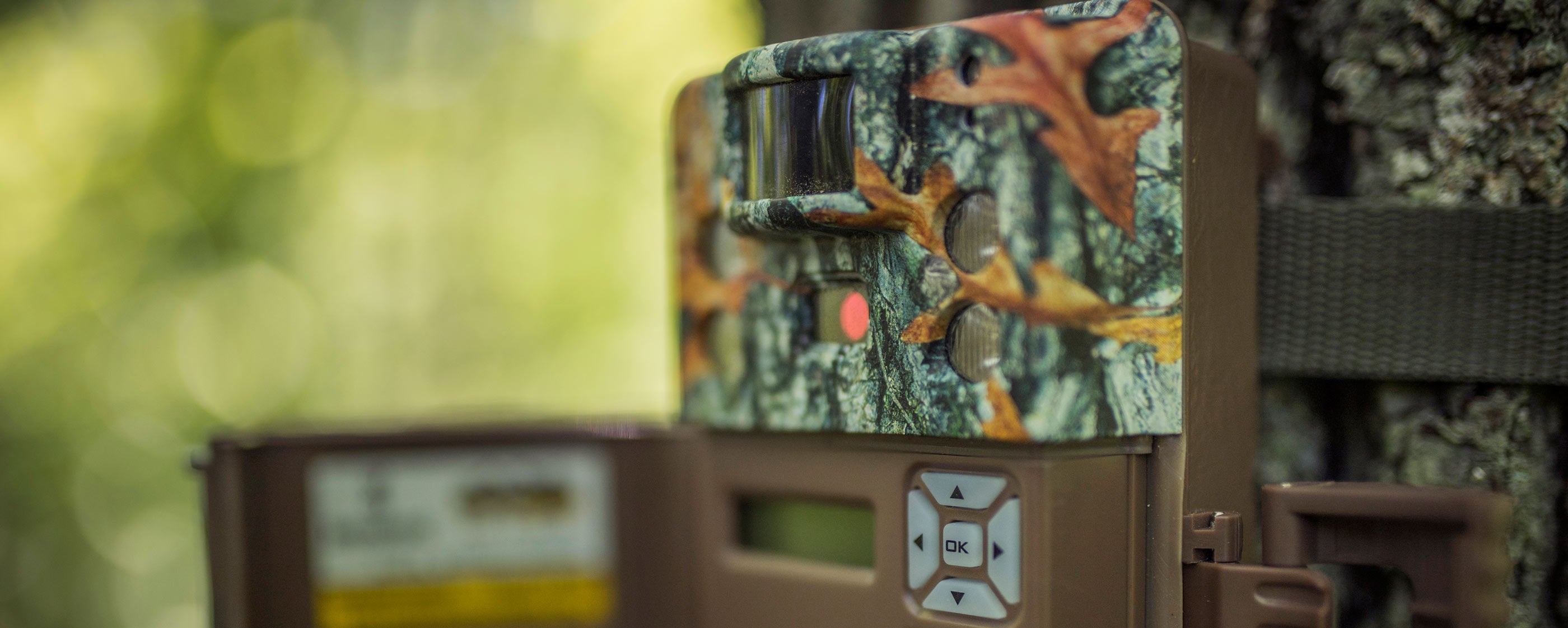 Trail Cameras