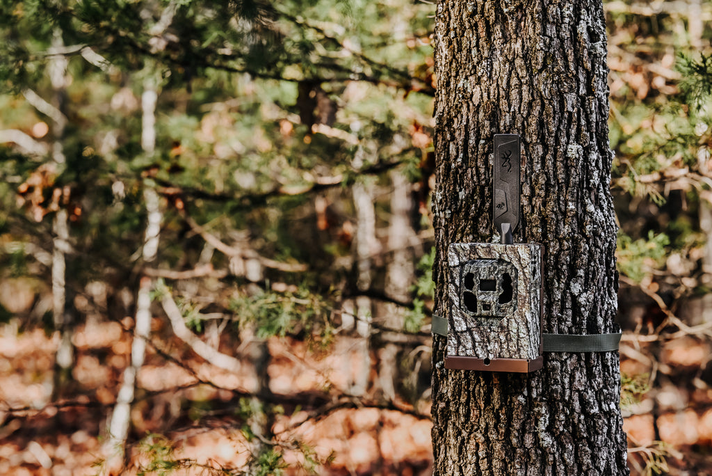 Cellular Trail Cams