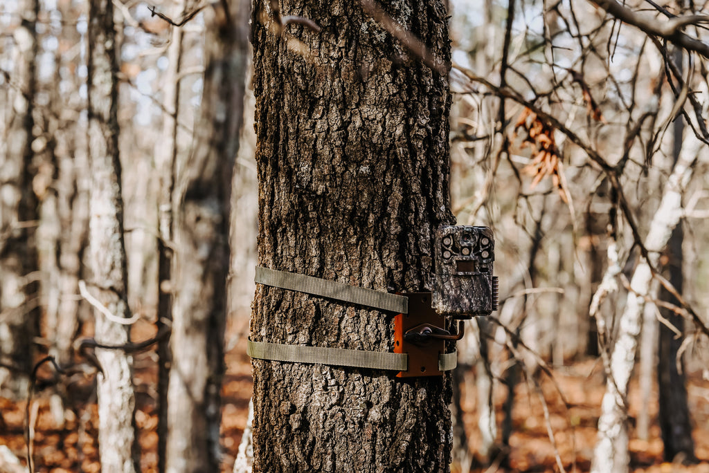 The Gold Standard for SD-Card Trail Cameras Is Here With Browning Trail Cameras’ 2026 Recon Force Elite HP5 Ultra