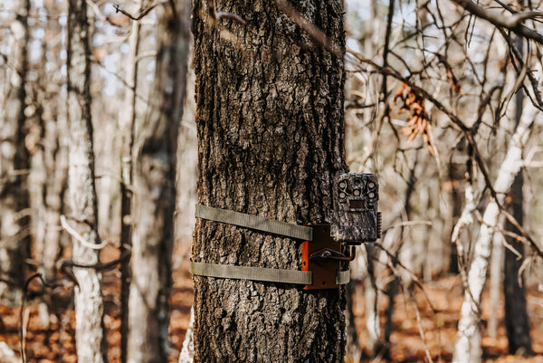 The Gold Standard for SD-Card Trail Cameras Is Here With Browning Trail Cameras’ 2026 Recon Force Elite HP5 Ultra