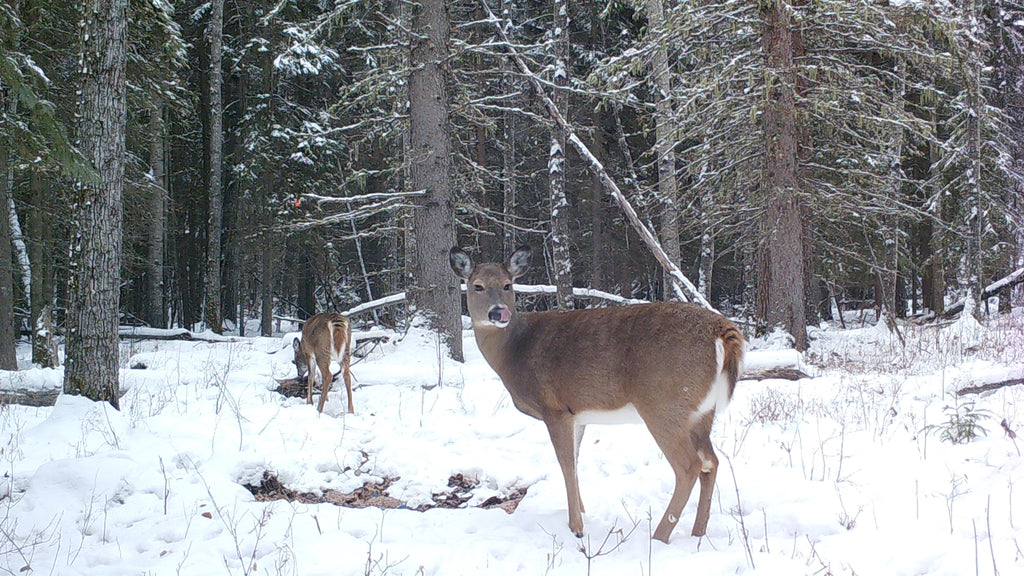 A Clear View Before the New Year