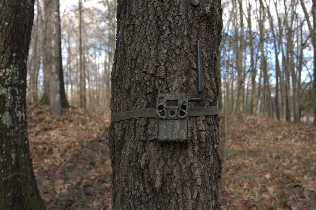 The Best Way to Monitor Remote Land and Property