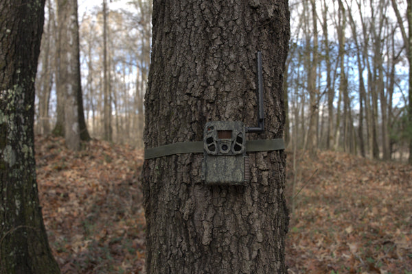 The Best Way to Monitor Remote Land and Property