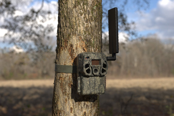 Real-Time Awareness Arrives with Browning Trail Cameras’ Defender Vision Pro LSF