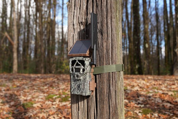 Best Cellular Trail Camera for Hunting, Wildlife Observation, and Remote Property Security in 2026