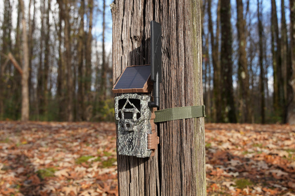 Defender Pro Scout Max HD Solar | Built to Stay in the Field