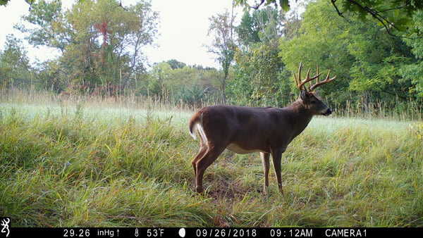 How To Get Started Whitetail Deer Hunting