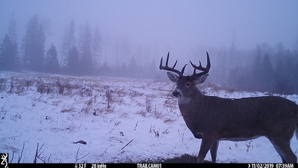 The Late Season Advantage