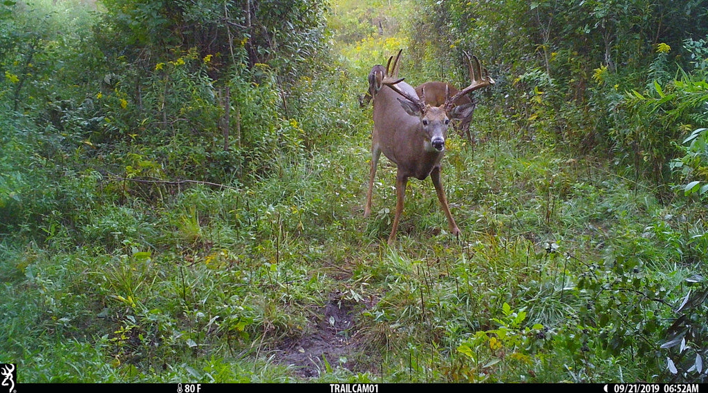 Browning Trail Cameras Help Customer Harvest Buck of a Lifetime!