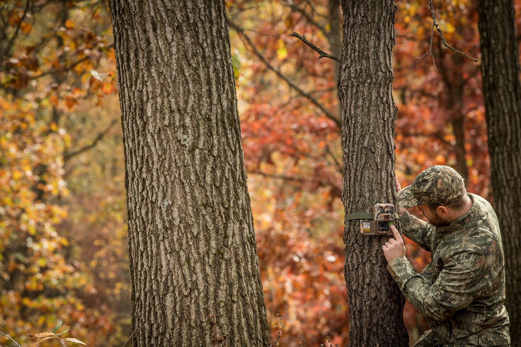 Halloween Trail Camera Tips