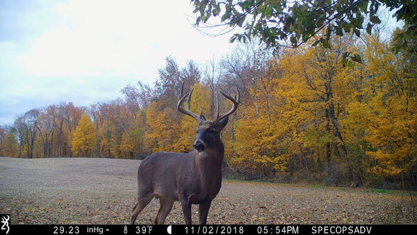 Scouting with Trail Cameras Made Simple