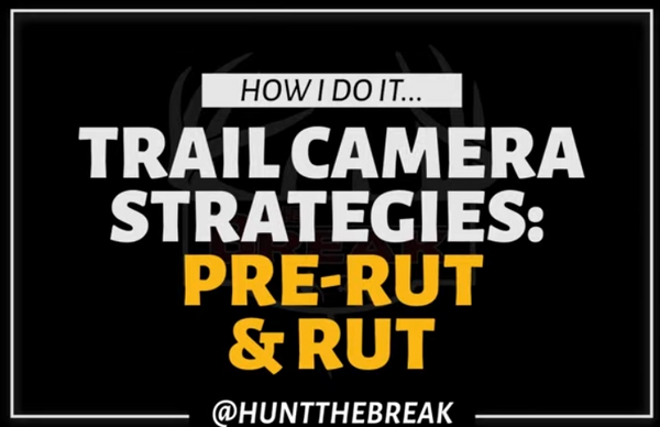 Trail Camera Strategies for the Rut