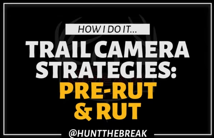 Trail Camera Strategies for the Rut