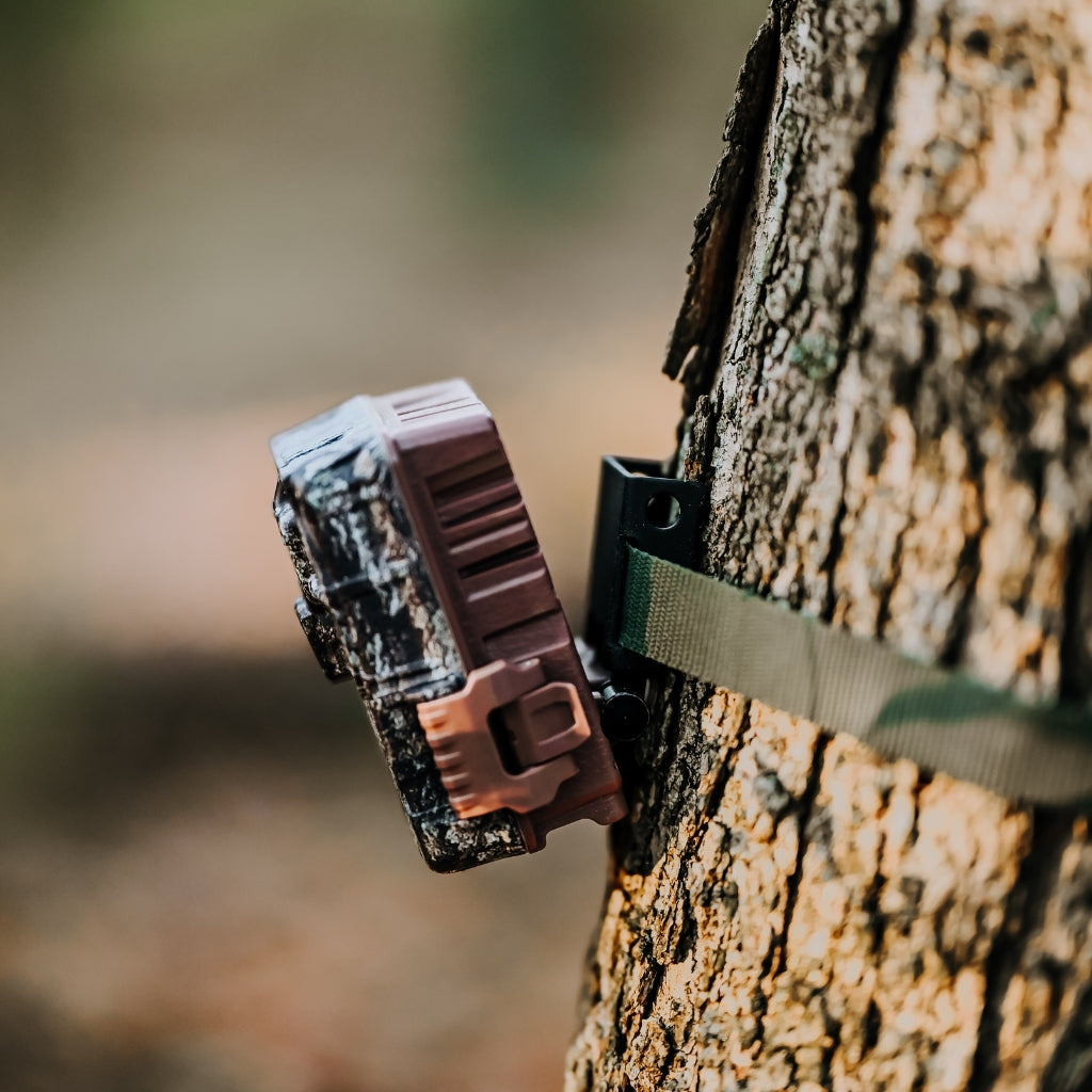 Browning Trail Camera Economy Tree Mount - 3 Screw Mounts Included