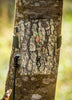 Trail Camera Power Pack