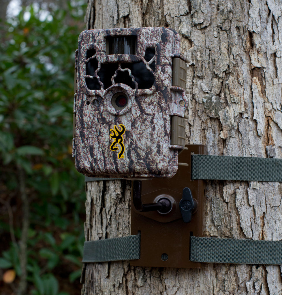 Tree Mounts