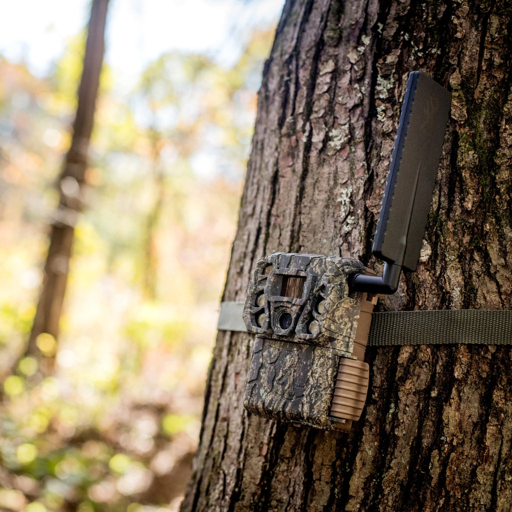 Defender Vision Pro HD AI – Browning Trail Cameras