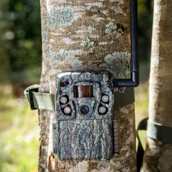 Strut & Scout Savings Event - Defender Vision Pro with High Gain External Antenna