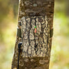 Trail Camera Power Pack